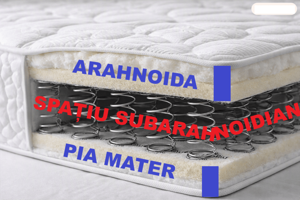 analogia saltea cu arcuri spatiu subarahnoidian arahnoida pia mater meninge hsa