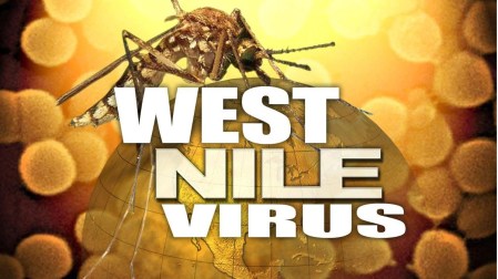 UN VIRUS ȘI OPT ÎNTREBĂRI – WEST NILE