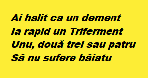 TRIFERMENTUL