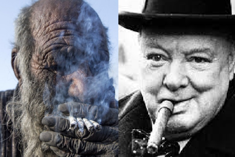 JEGUL – TAINA LONGEVITĂȚII