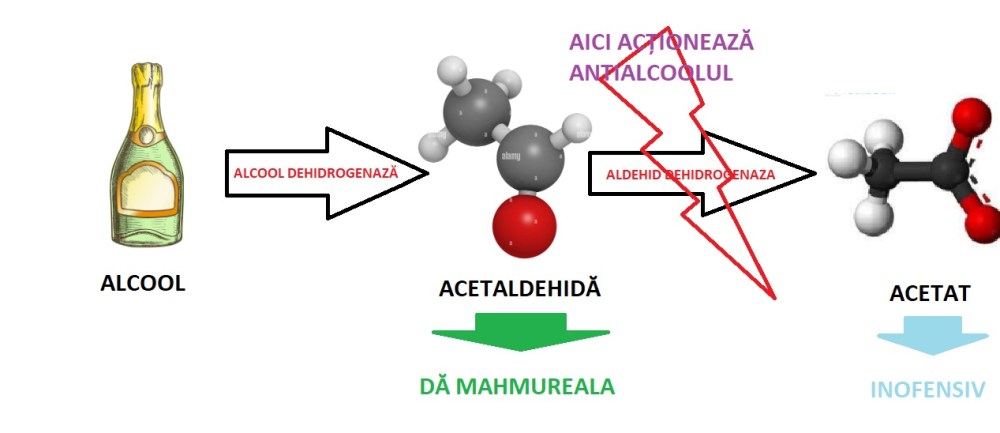 CE DA MAHMUREALA SI CUM ACTIONEAZA ANTIALCOOL-UL