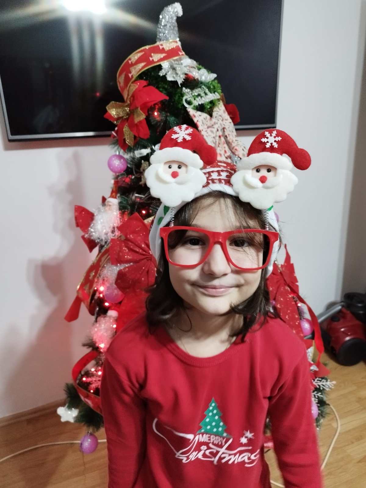 POVESTE (DIN GARDA) DE CRĂCIUN