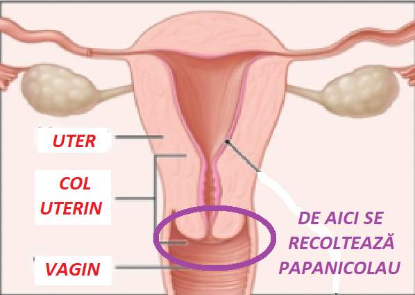TESTUL PAPANICOLAU