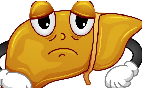 STEATOZA HEPATICA – DE LA ADEVĂR LA ȘMECHERIE -1