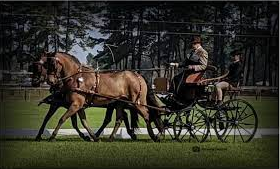 BOLNĂVI-M-AȘ ȘI N-AM CUI 6 – O PLIMBARE CU TRĂSURA (I)