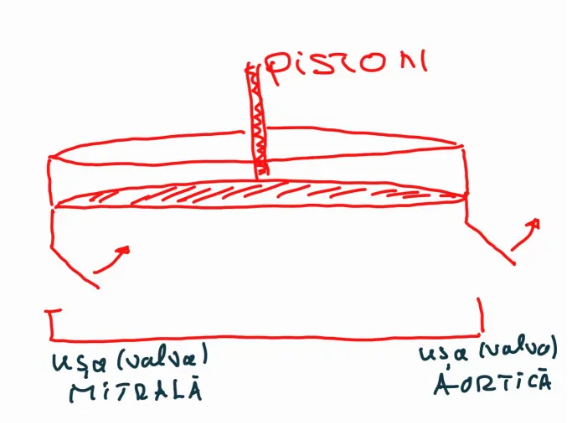 SUFLU SISTOLIC
