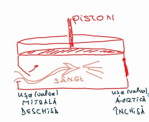 SUFLU SISTOLIC